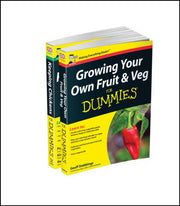 Self Sufficiency For Dummies