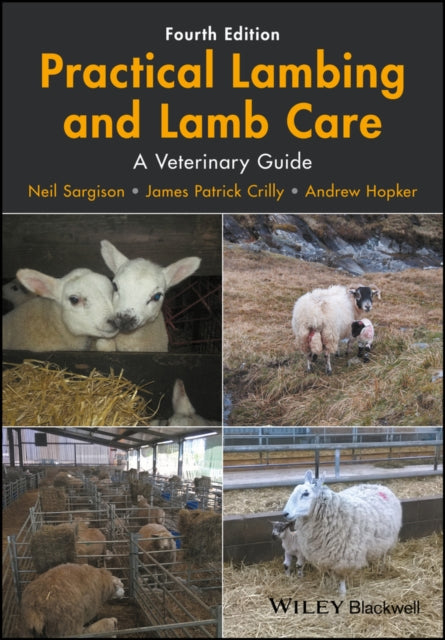 Practical Lambing And Lamb Care 8211