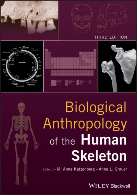 Biological Anthropology Of The Human Ske By M. Anne, Katzenberg
