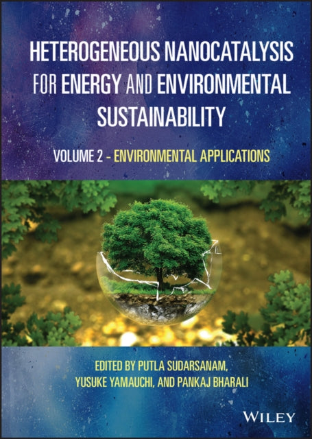 Heterogeneous Nanocatalysis For Energy