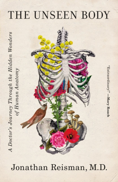 Unseen Body The By Jonathan Reisman