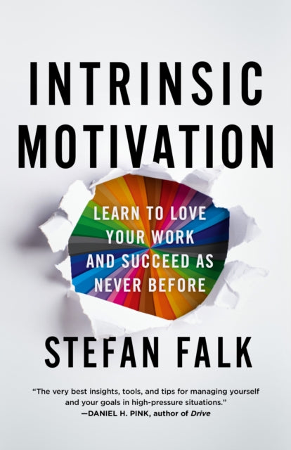 Intrinsic Motivation By Stefan Falk