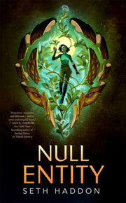 Null Entity By Haddon, Seth