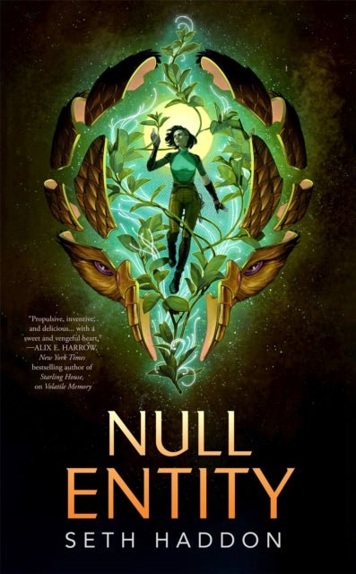 Null Entity By Haddon, Seth
