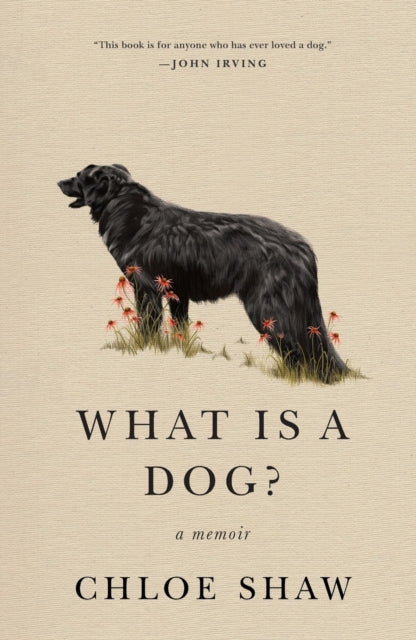 What Is A Dog By Chloe Shaw