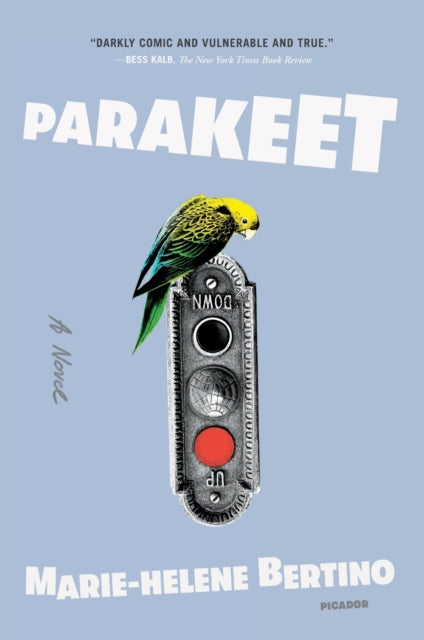 Parakeet By Marie-helene Bertino