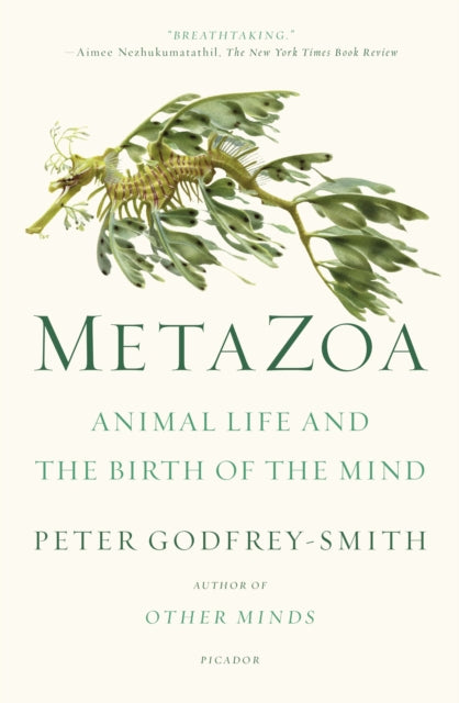 Metazoa By Peter Godfrey-smith