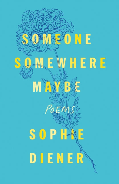 Someone Somewhere Maybe By Sophie Diener