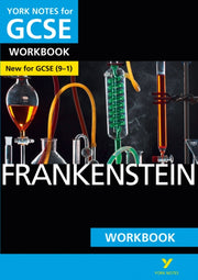 Frankenstein York Notes For Gcse 91 Work