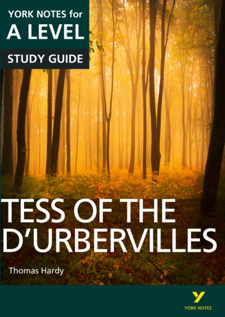 Tess Of The Durbervilles York Notes For By Sayer, Karen