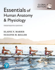 Essentials Of Human Anatomy Physio