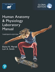 Human Anatomy Physiology Laboratory M