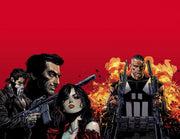 Marvel Knights Punisher By Palmiotti, Jimmy