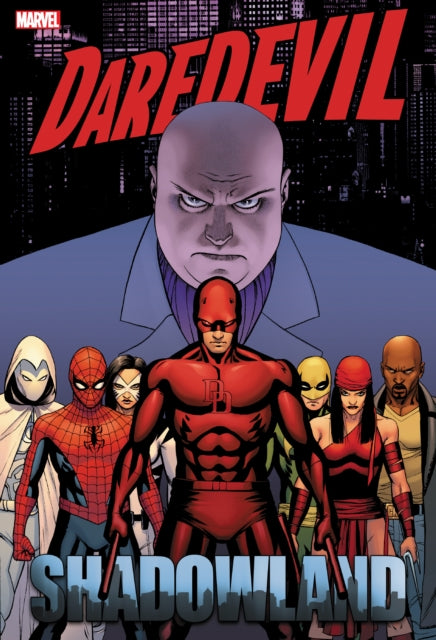 Daredevil Shadowland Omnibus Cassaday