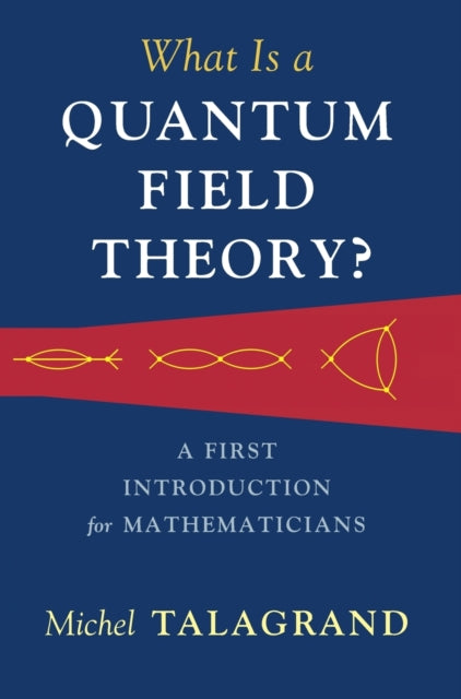 What Is A Quantum Field Theory By Talagrand  Michel