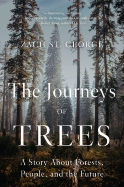 Journeys Of Trees
