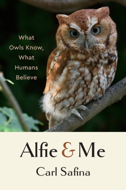 Alfie & Me