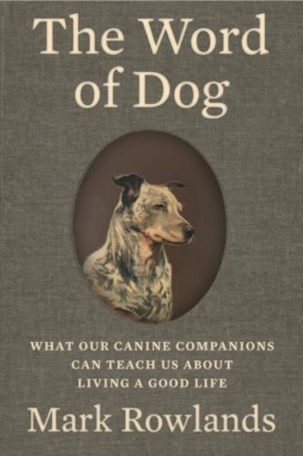 The Word Of Dog What Our Canine Compani By Rowlands Mark
