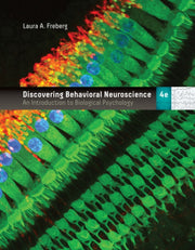 Discovering Bhvrl Neuroscience Intro Blg
