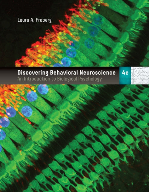 Discovering Bhvrl Neuroscience Intro Blg