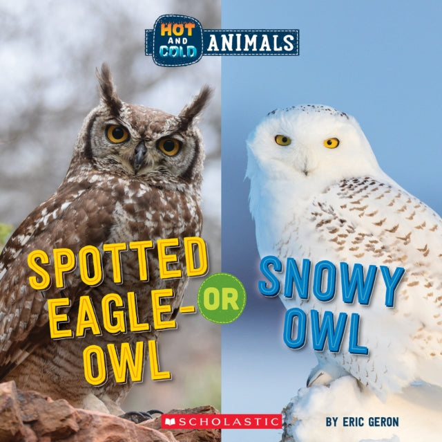 Spotted Eagleowl Or Snowy Owl By Geron, Eric