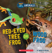 Redeyed Tree Frog Or Wood Frog