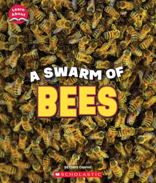 Swarm Of Bees Learn About Animals By Caprioli, Claire