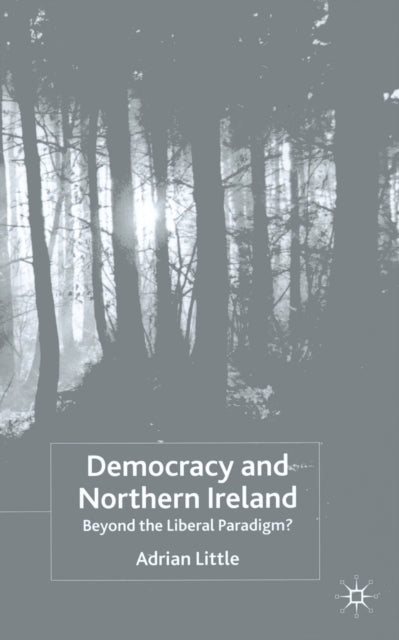 Democracy And Northern Ireland : Beyond