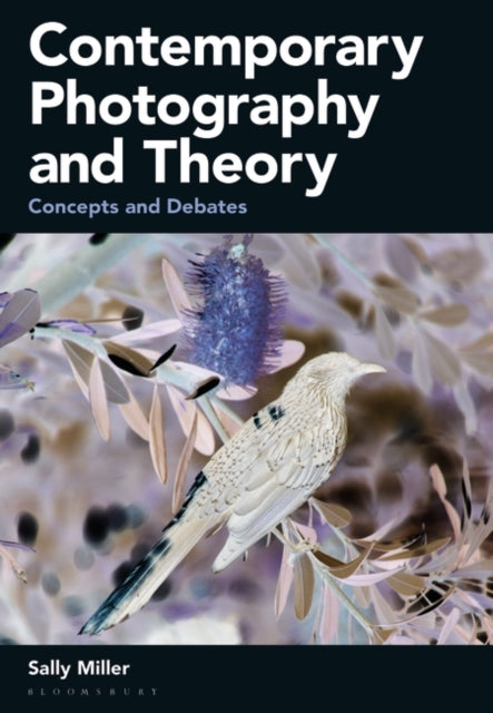 Contemporary Photography & Theory