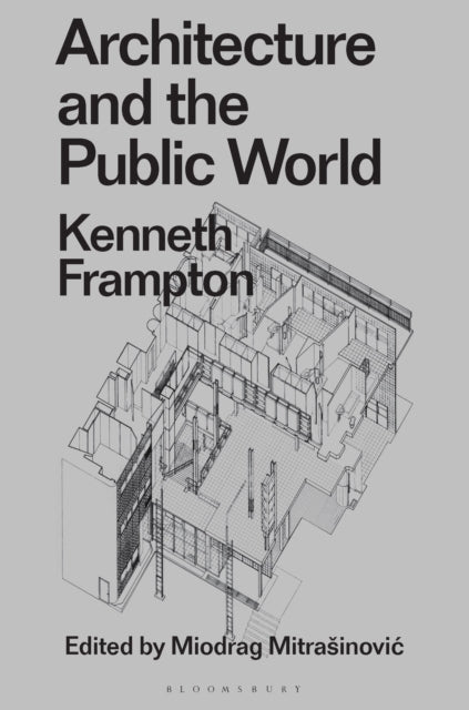 Architecture & The Public World