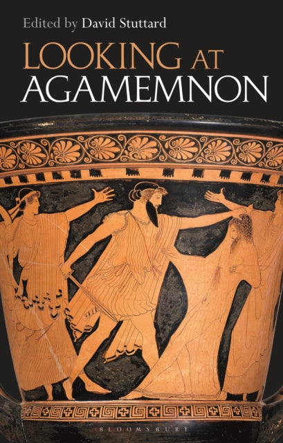 Looking At Agamemnon By Stuttard David