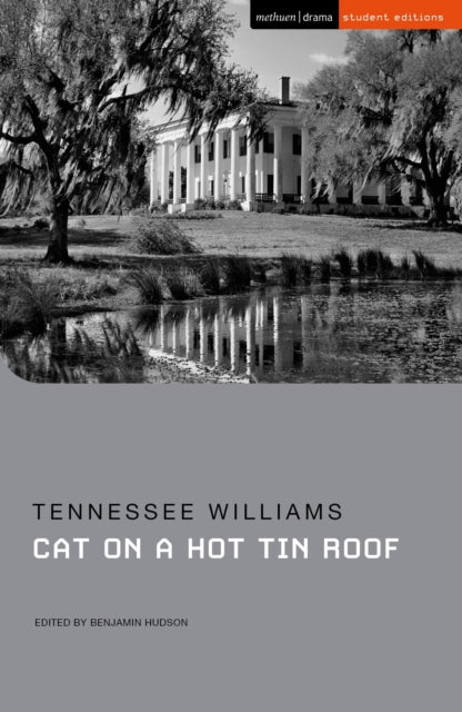 Cat On A Hot Tin Roof