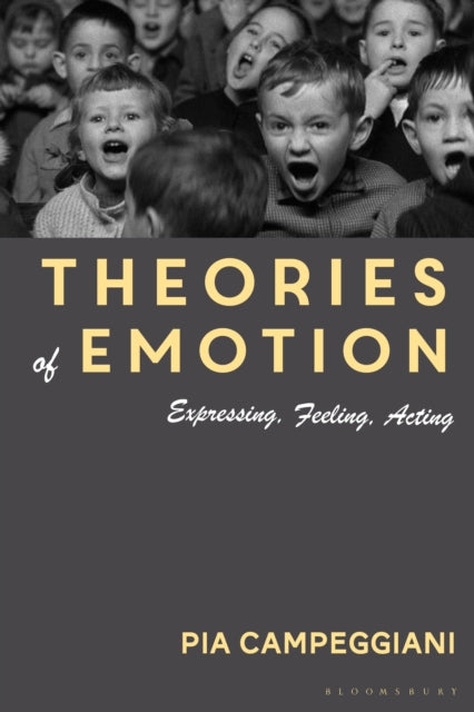 Theories Of Emotion