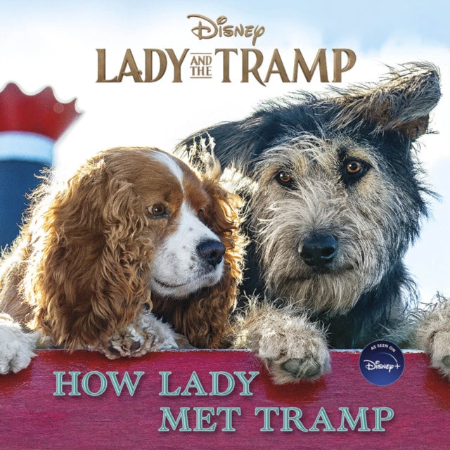How Lady Met Tramp By Stephens, Elle