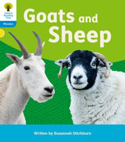 Floppys Phonics Decodable Reader L3 Book
