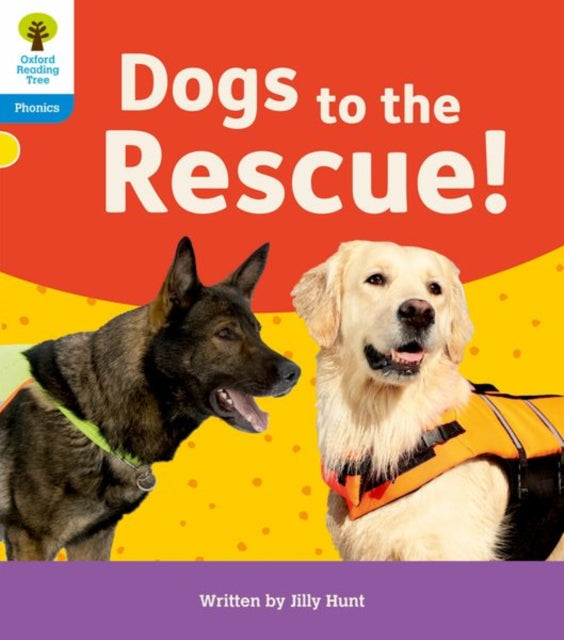 Floppys Phonics Decodable Reader L3 Book