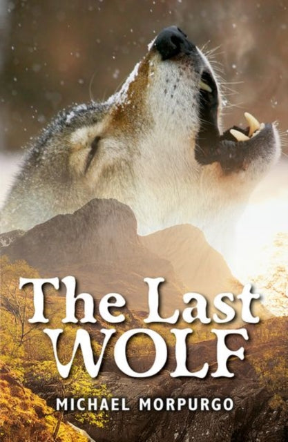 Rollercoasters The Last Wolf