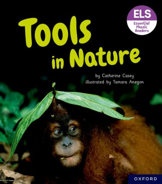 Essential Phonic Readers Book 78