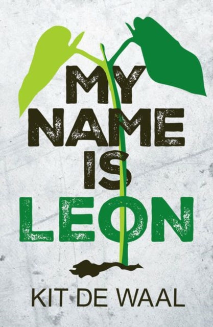 Rollercoaster My Name Is Leon