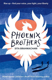 Super Readable Rollercoaster Phoenix B