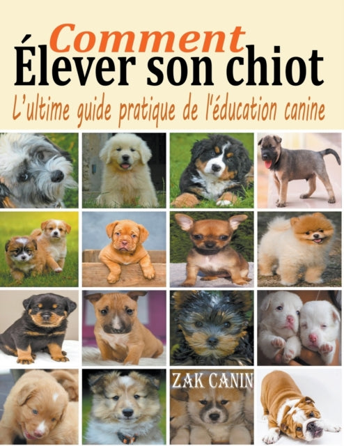 Comment  Lever Son Chiot : L'ultime Guid