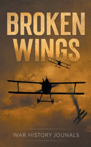 Broken Wings: Wwi Fighter Ace's Story Of