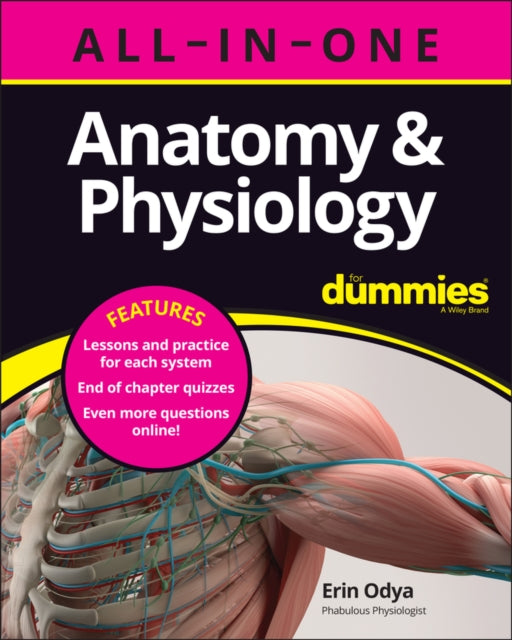 Anatomy & Physiology All In One For Dumm