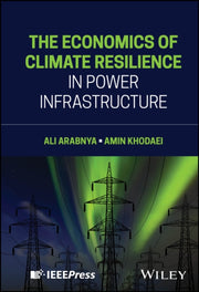 The Economics Of Climate Resilience In By Ali Arabnya