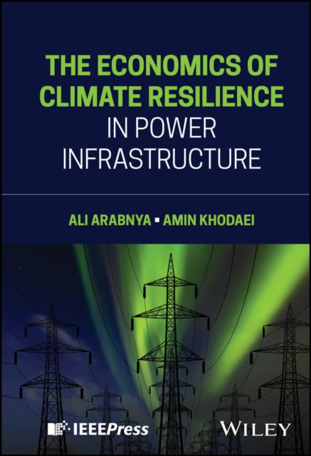 The Economics Of Climate Resilience In By Ali Arabnya