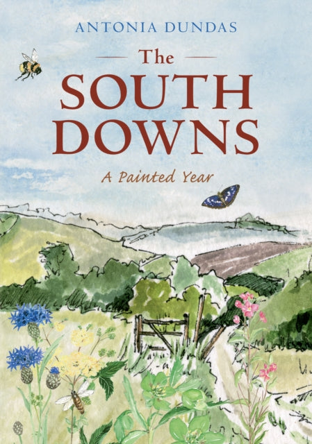 South Downs A Painted Year