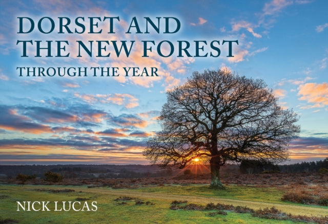Dorset & The New Forest Through The Year