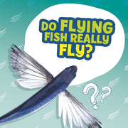 Do Flying Fish Really Fly