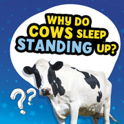 Why Do Cows Sleep Standing Up