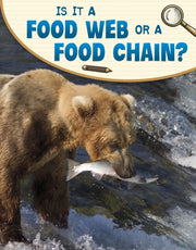 Is It A Food Web Or A Food Chain
